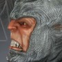 Rhino (Sideshow) (studio)