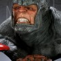 Rhino (Sideshow) (studio)