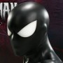 Marvel: Spider-Man Back In Black