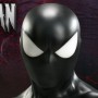 Spider-Man Back In Black (studio)