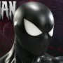 Spider-Man Back In Black (studio)