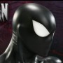 Spider-Man Back In Black (studio)