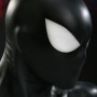 Spider-Man Back In Black (studio)