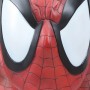 Spider-Man Lifesize (studio)