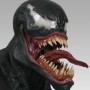 Venom Lifesize 1 (studio)