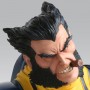 Wolverine (studio)