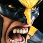 Wolverine Berserker Rage Lifesize (studio)