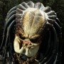 Predator (studio)