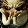 Predator (Sideshow) (studio)