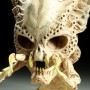 Classic Predator Skull (studio)