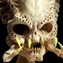 Classic Predator Skull (studio)