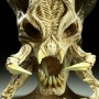 Super Predator Skull (studio)
