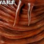 Admiral Ackbar (studio)