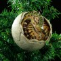 Dinosauria Ornament (studio)