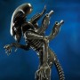 Alien 1: Alien Big Chap