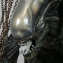 Alien Diorama (studio)