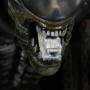 Alien Diorama (studio)