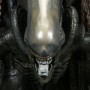 Alien Diorama (studio)