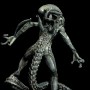 Alien Warrior (studio)