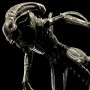 Alien Warrior (studio)