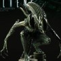 Alien Warrior (studio)