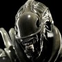 Alien Warrior (Sideshow) (studio)