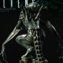 Alien Warrior (studio)