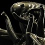 Alien Warrior (Sideshow) (studio)