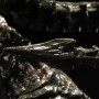 Alien Warrior (studio)