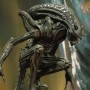 Alien Warrior (realita)