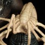 Alien Warrior (Sideshow) (studio)