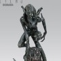 Aliens Diorama (studio)