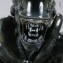 Aliens Diorama (studio)