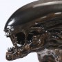 Dog Alien (studio)