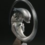 Fetal Queen (studio)