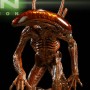 Alien (studio)