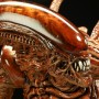 Alien (studio)