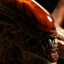 Alien (Sideshow) (studio)