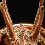 Alien (Sideshow) (studio)