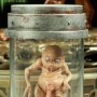 Alien (Sideshow) (studio)