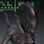 Alien Warrior Faux Bronze (studio)