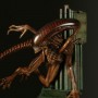 Alien 4 Diorama (studio)