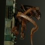 Alien 4 Diorama (studio)
