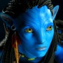 Neytiri (studio)