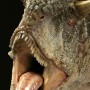 Carnotaurus (Sideshow) (studio)