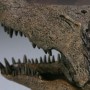 Deinosuchus Vs. Parasaurolophus (Sideshow) (studio)