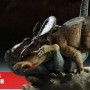 Dinosauria: Protoceratops Vs. Velociraptor