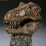 Tyrannosaurus Rex (Sideshow) (studio)