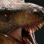 Tyrannosaurus Rex Vs. Triceratops (Sideshow) (studio)