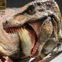 Tyrannosaurus Rex Vs. Triceratops (Sideshow) (studio)